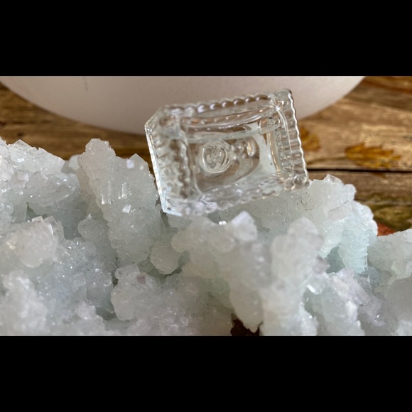 🦋Chloe Mini - Picture 4 of 4